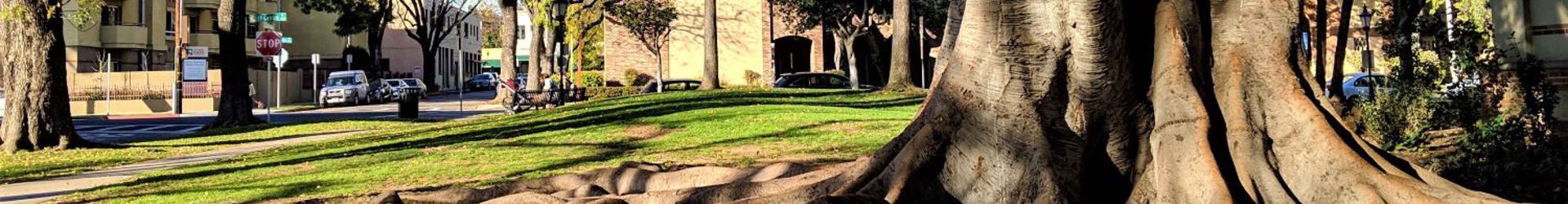 South Pasadena Shutterstock 1298920048 Cropped