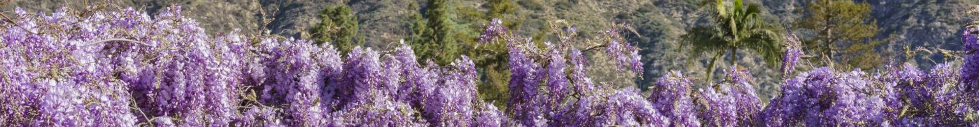 Sierra Madre Shutterstock 599630363 Cropped